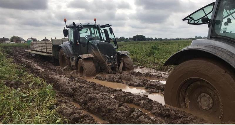 Wet weather – temporary adjustments to agri-environment schemes Following the Farm to Fork Summit, the government is providing support to farmers affected by wet weather by introducing temporary adjustments for some agri-environment scheme options More👉 nfuonline.com/updates-and-in…
