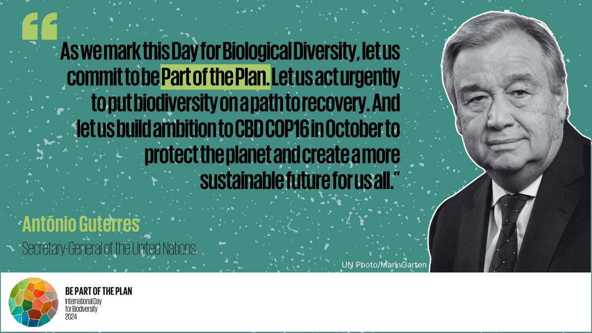 This #BiodiversityDay, @antonioguterres reminds us that the #BiodiversityPlan offers a pathway to reverse loss and restore biodiversity. We all have a role to play. As we mark this Day for Biological Diversity, let us commit to be #PartOfThePlan ‌ 🔗:attachments.cbd.int/732ecdc74e23ec…