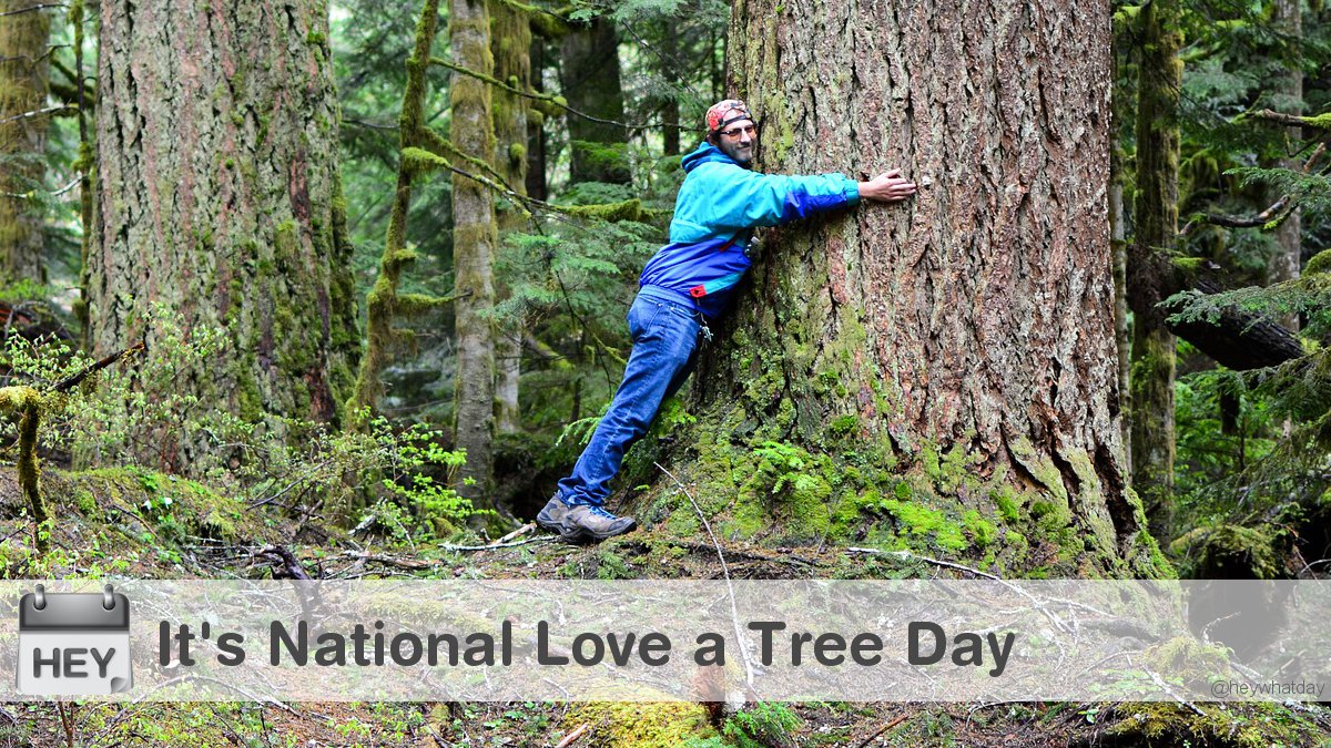 It's National Love a Tree Day! 
#Hug #NationalLoveATreeDay #LoveATreeDay