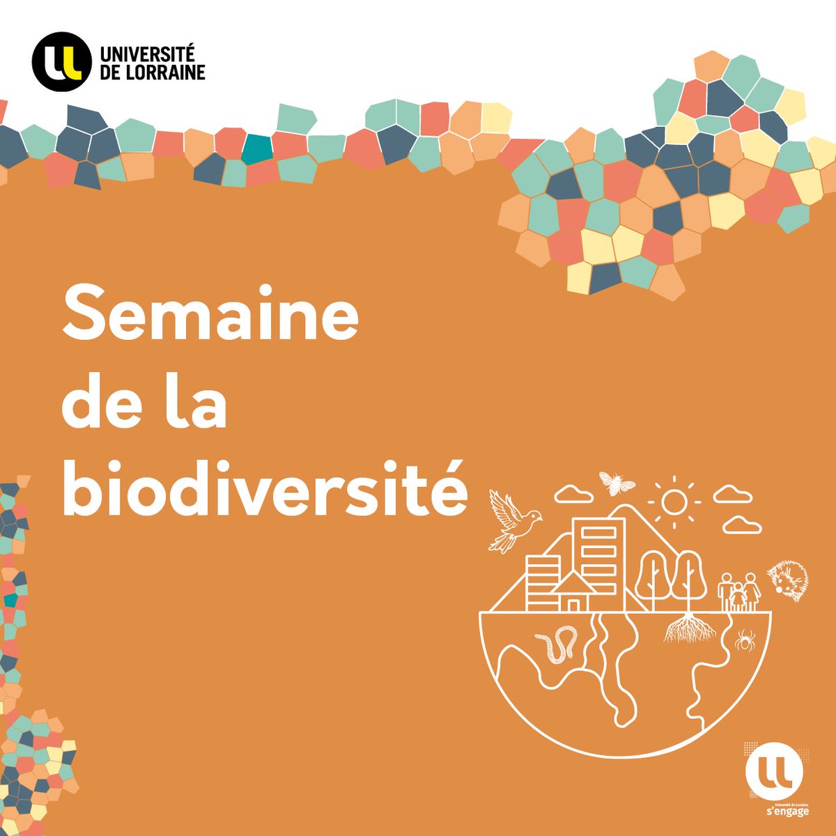 🌍 Du 21 mai au 1er juin, explorez la #biodiversité avec l'Université de Lorraine !
Au programme : fresques de la biodiversité, balades nature et articles d’information et de sensibilisation.
+d'infos 👉 factuel.univ-lorraine.fr/node/26709
#CampusVert #ULsengage