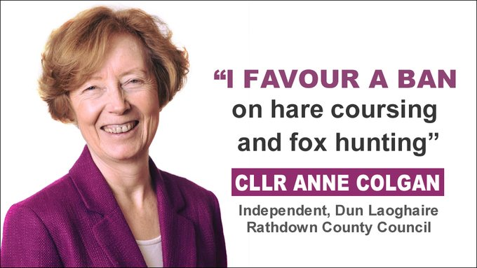 'l favour a ban on hare coursing and fox hunting' - #LE24 candidate Cllr Anne Colgan (Independent, Dun Laoghaire Rathdown - #Dundrum) 👍👍 banbloodsports.wordpress.com/2019/10/02/dun… #LE2024 Support compassionate candidates