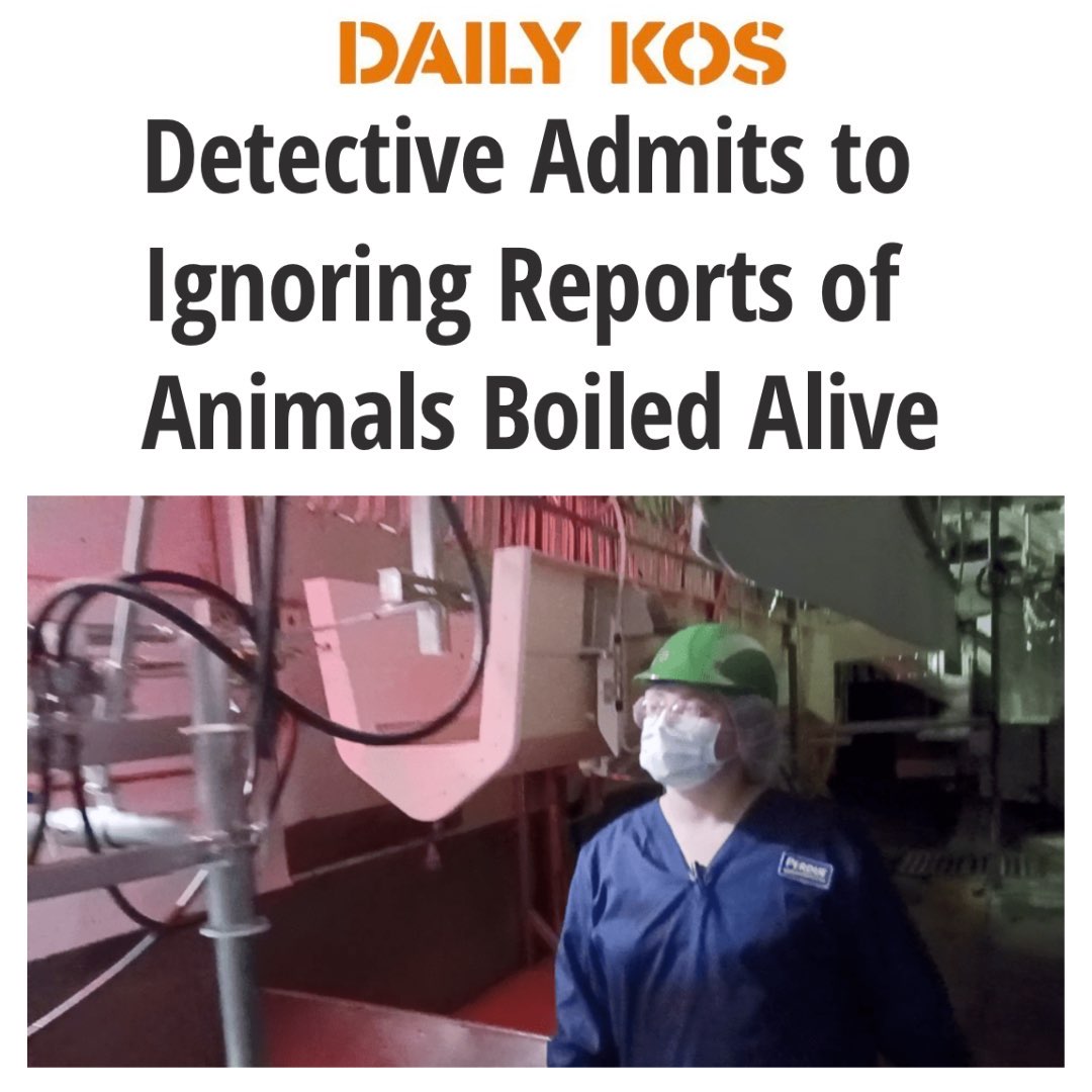 Zoe Rosenberg tweet media