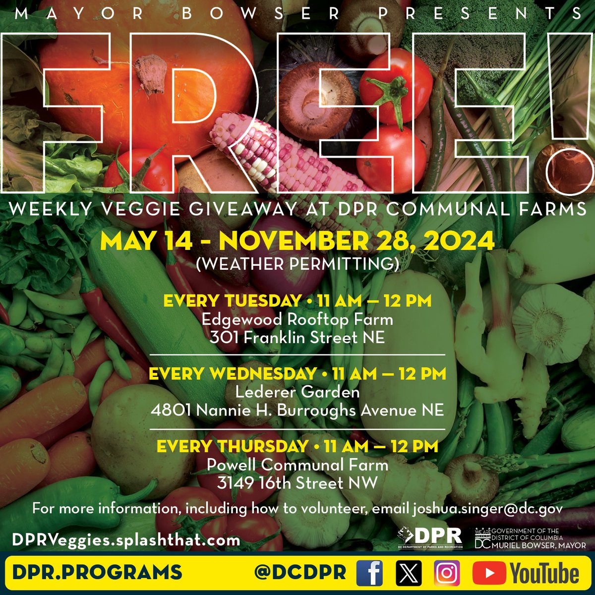 ALERT:  DPR Weekly Veggie Giveaways are back!
TODAY is POWELL Farm at 11am.
🥬Edgewood - Tuesdays 11am-12pm
🫑Lederer - Wednesdays 11am-12pm
🍅Powell -Thursdays 11am-12pm).
📲dprveggies.splashthat.com #MorethanREC #Urbanfarming #CommunityGarden