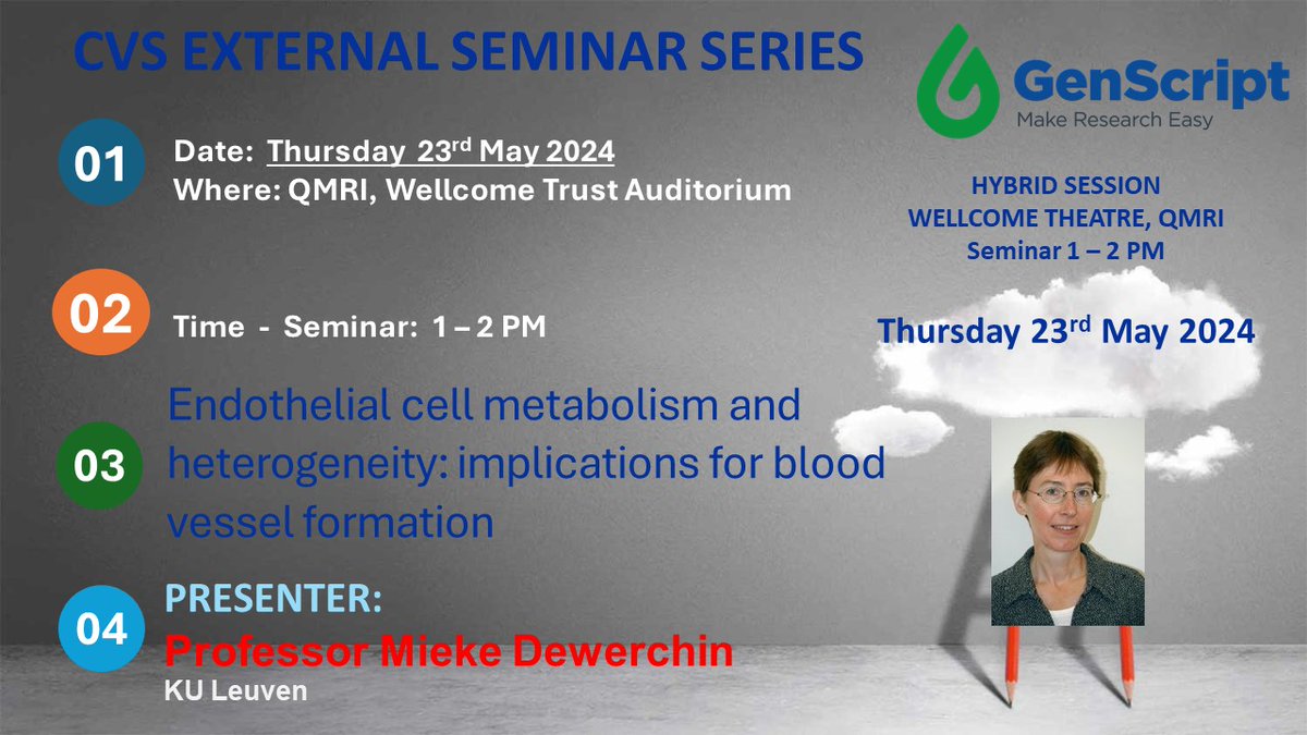 We are very much looking forward to welcoming Professor Mieke Dewerchin from KU Leuven for our #CVSExternalSeminar next Thursday 23 May 2024. Please Join us! Title: Endothelial cell metabolism and heterogeneity: implications for blood vessel formation Chair: @rainhapassi