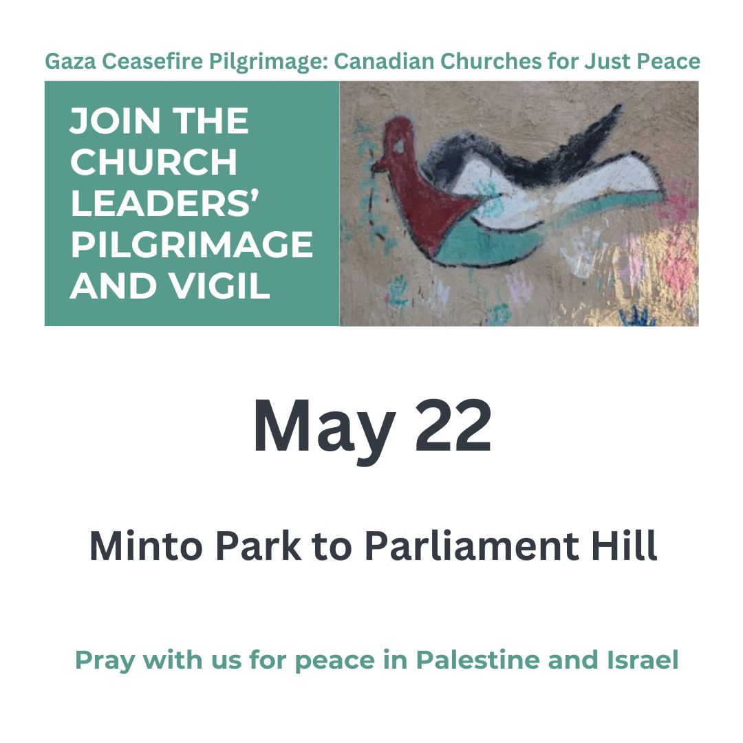 Join national church leaders for the final leg of the Gaza Ceasefire Pilgrimage: Canadian Churches for Just Peace - #ParliamentHill, May 22, beginning at Minto Park @ 8:00 AM. 
Wear white to symbolize peace. 
More here: kairoscanada.org/gaza-ceasefire… 
#GazaPilgrimageCDN #GCPilgrimages