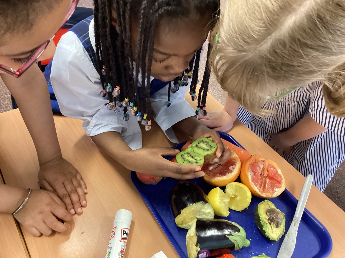 Year 2 had a lot of fun investigating different fruits and vegetables to see if they contained seeds
Before cutting them open, the girls had to predict how many seeds they might find.

#SMSspirit #embrace #empower #year2 #fruits #vegetables #prep #privateschool #independentschool