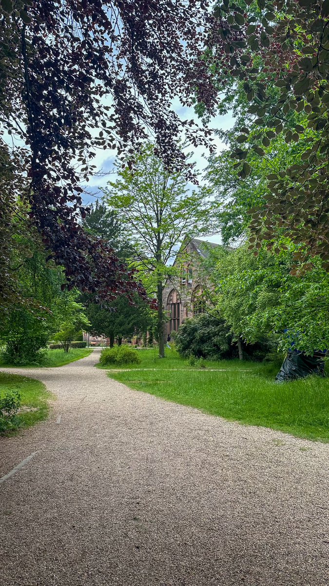 Marburg, bugün. 🌿