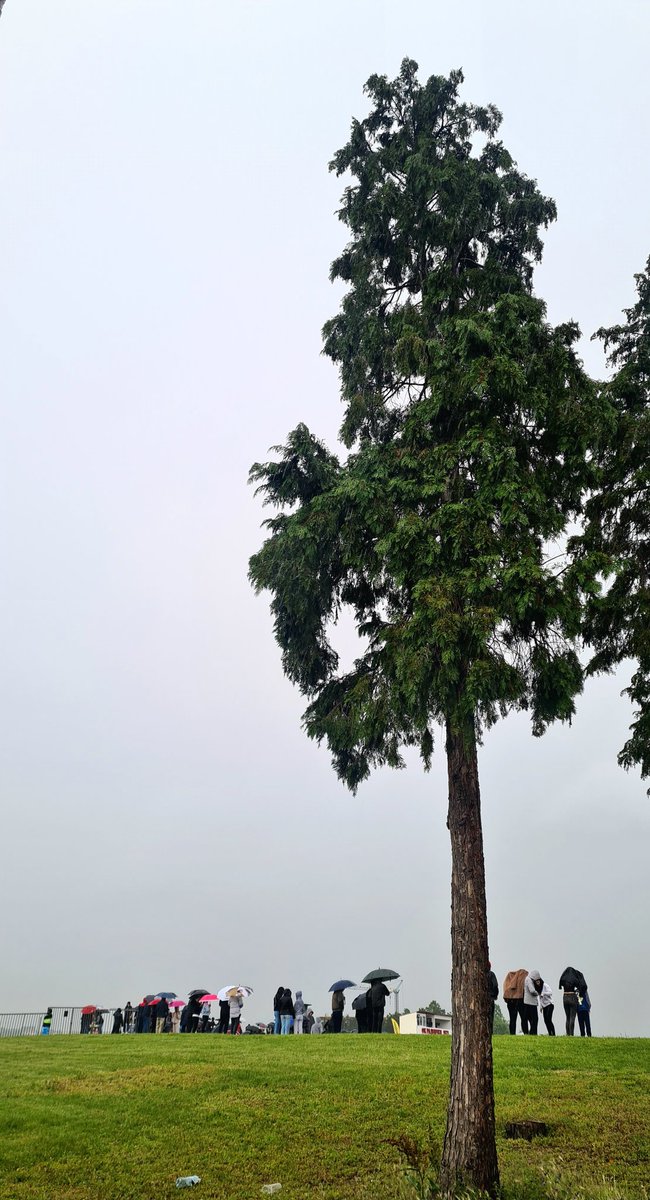 Noteamplayer's tweet image. #Kragujevac