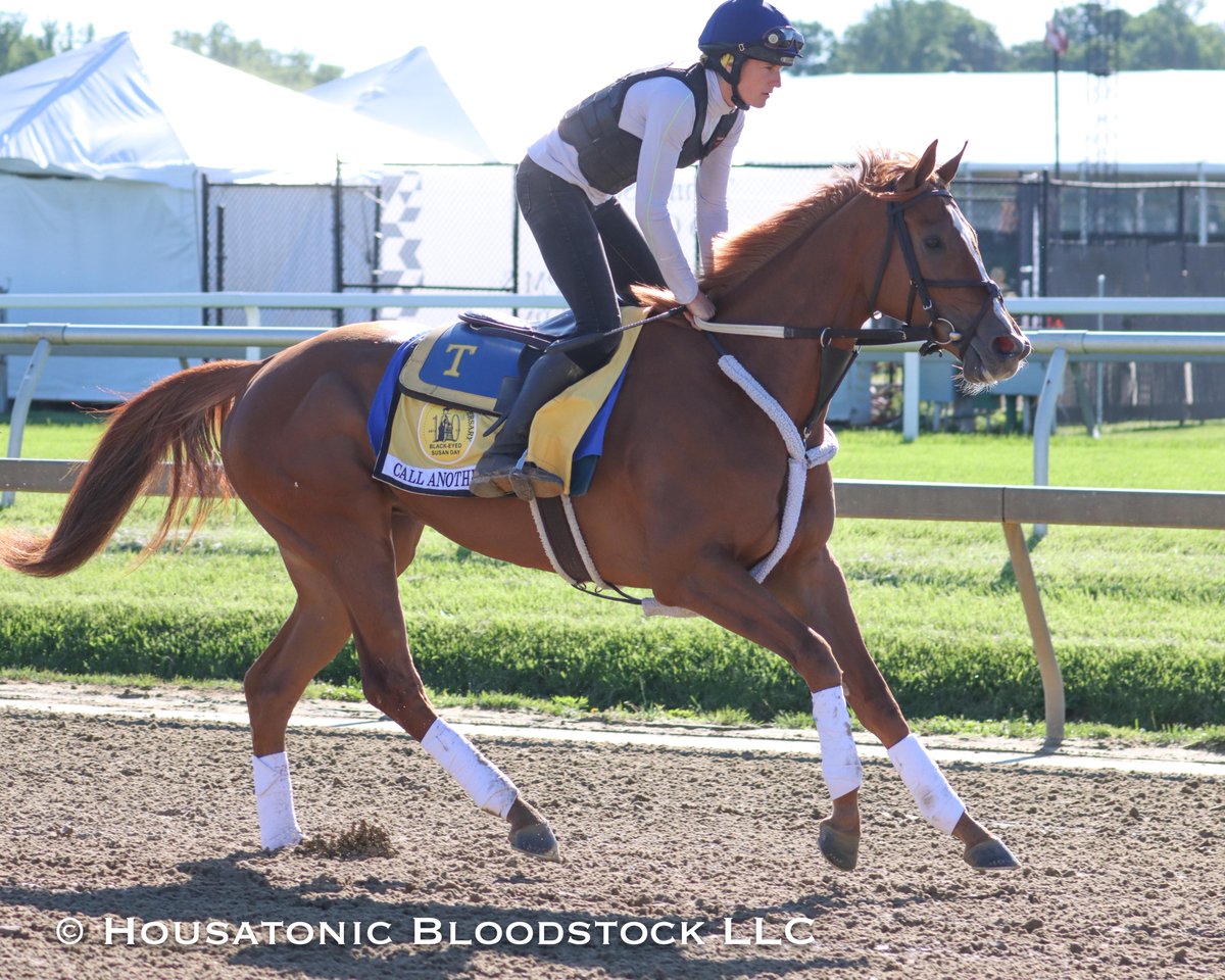 @trombetta_mike's #MDBred Call Another Play, from the family of R. Larry Johnson's foundation mare Ran's Chick, comes off a win in the Weber City Miss and runs tomorrow in the Black Eyed Susan. By @WinStarFarm's leading 2nd crop sire Audible