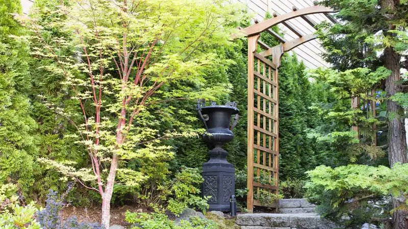 Looking for beautiful arbor designs? 👀 Here are 17 designs that are sure to catch your eye, give you plenty of ideas, and transform your garden completely. 😉 #Landscaping #LandscapingDesigns #ArborDesign #Outdoor LocalInfoForYou.com/350146/arbor-d…