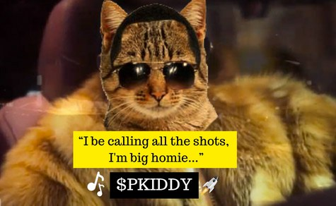 loonamewn's tweet photo. @SolanaDrizzy @shahh @pkiddyonsol $pkiddy gonna melt faces soon https://t.co/hYuFILUoPA