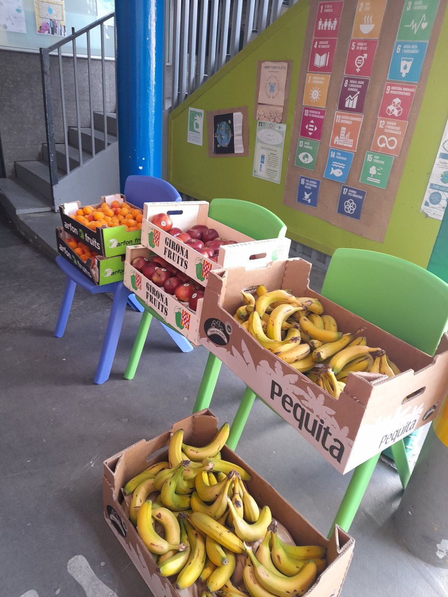Encarni Morillas (@encarnimdc) on Twitter photo Les fruites i les hortalisses ens ajuden a seguir el ritme! #menjardeveritat Avui hem tingut unes responsables de fruita genials! #hàbitssaludables <a href="/escolamdcprat/">escolamdcprat</a> Les fruites i les hortalisses ens ajuden a seguir el ritme! #menjardeveritat Avui hem tingut unes responsables de fruita genials! #hàbitssaludables <a href="/escolamdcprat/">escolamdcprat</a>