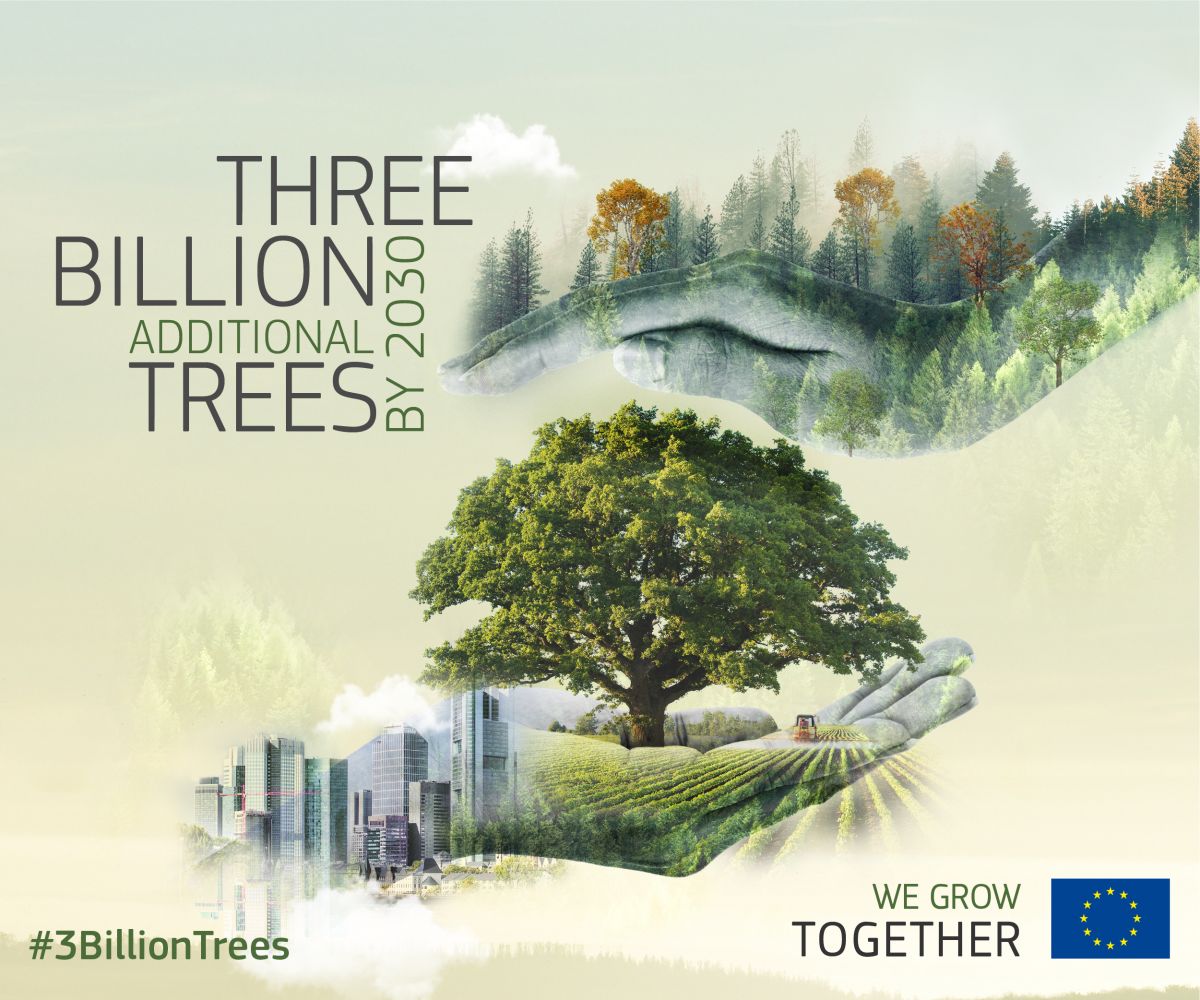 Ως το 2030 θέλουμε να φυτέψουμε 3 δισ. δέντρα. Με τη στρατηγική μας για τα δάση προστατεύουμε και αποκαθιστούμε τα δάση και εξασφαλίζουμε τη βιώσιμη διαχείρισή τους.

Λάβε μέρος κι εσύ κατεβάζοντας την εφαρμογή MapMyTree. #EUGreenDeal #3BillionTrees