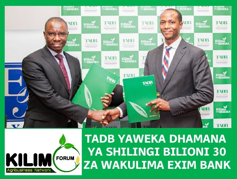 shambamedia's tweet photo. Benki ya maendeleo ya kilimo @tadbtz kushirikiana na @Exim_BankTZ leo Mei 16, 2024 kwa pamoja zimesaini makubaliano ya kutoa dhamana ya shilingi bilioni 30 kwa wazalishaji katika sekta za kilimo, mifugo na uvuvi nchini kwa kipindi cha miaka 5. #TADB🇹🇿 https://t.co/glDPfPFf03