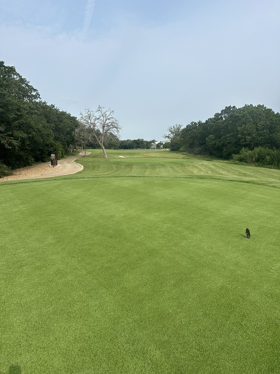 Day 1 of 3 of member guest here at Traditions. Right after will be applying first app of round up and fusillade and convert whole course minus tees and greens to platinum paspalum. Tees were done in house 1.5 years ago. Let’s go!