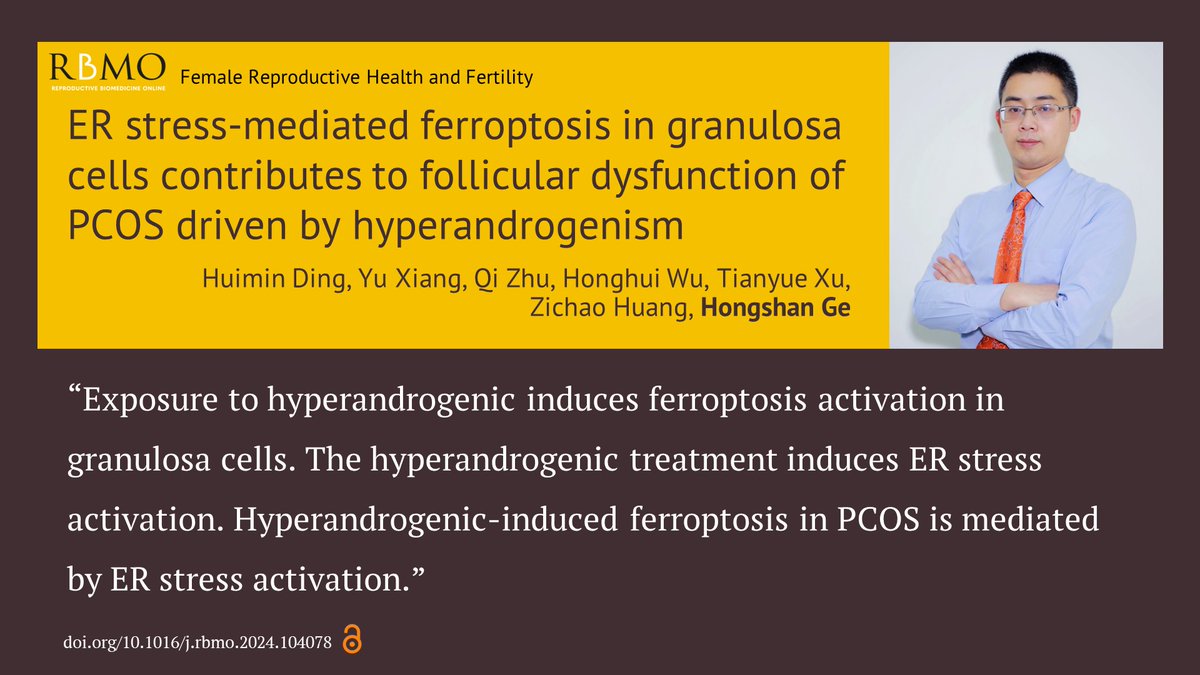 This work from Hongshan Ge and team at Jiangsu Taizhou People's Hospital provides insights into the mechanisms underlying hyperandrogenism-induced dysfunction of GCs in PCOS. The paper is published open access, available now from our in-press articles doi.org/10.1016/j.rbmo…