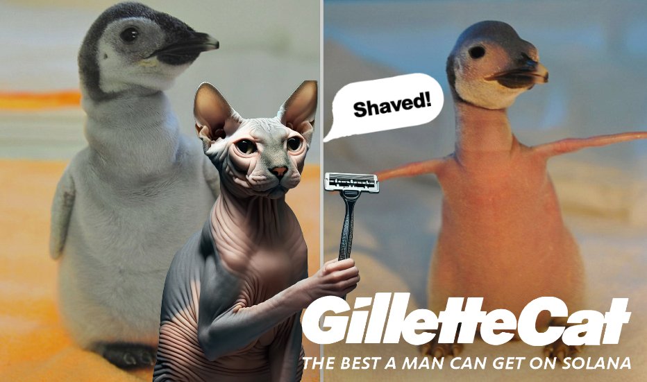 Cute Baby Pinguin? Shaved!!!! 😼🪒 GilletteCat is unstoppable! 🚀

$GCAT 81Q6yf3d43wQtr8PBd9qRGAR39YiafoJfmxgXW55rFrf

#SolanaMemecoin #GilletteCat #Solana