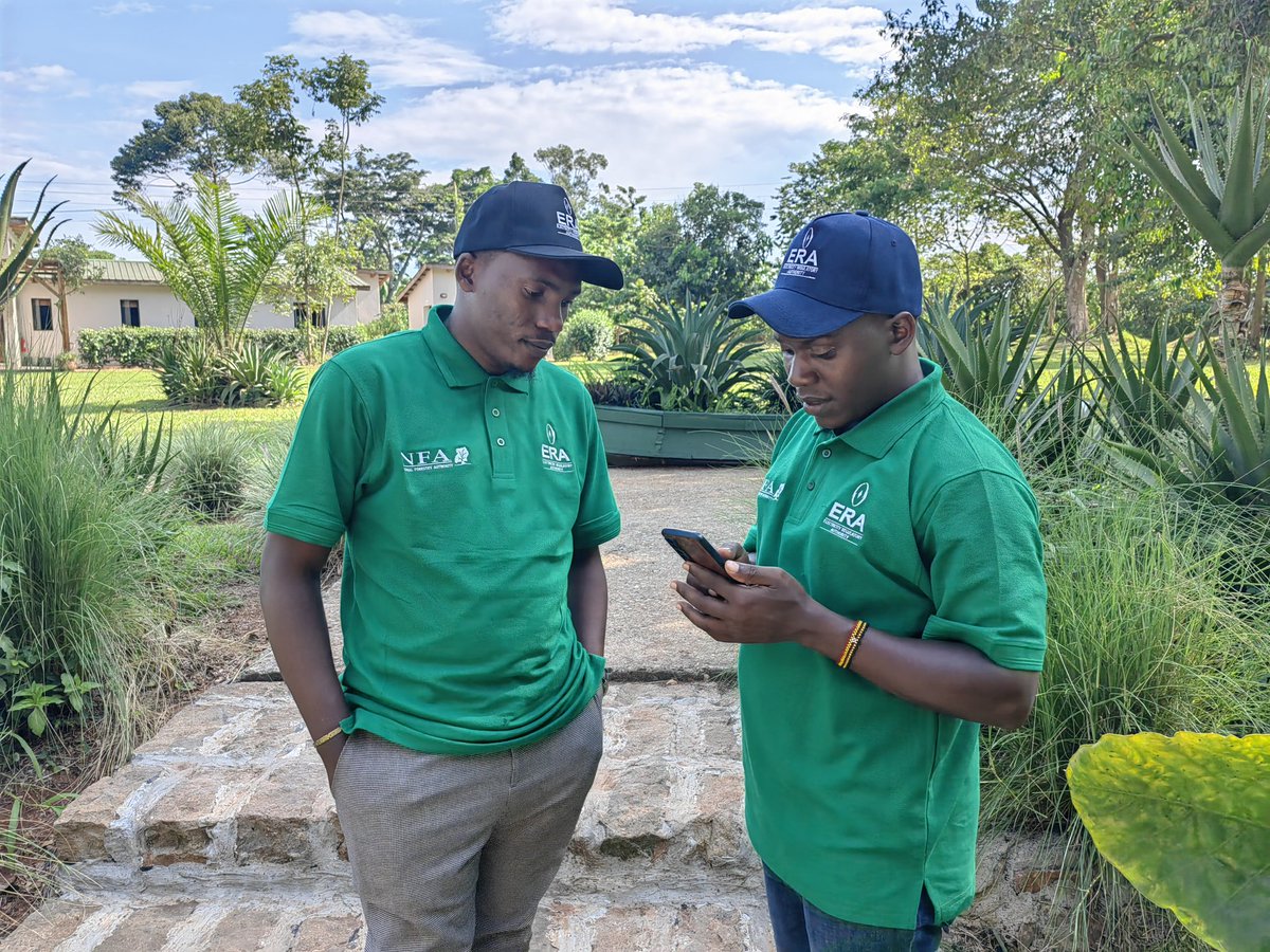 The @ERA_Uganda has conducted a tree planting activity in Mabira Central Forest Reserve in a bid to restore 15 hectares of encroached part of the forest. This effort is part of their ongoing partnership with the @NFAUG aimed at ensuring a sustainable electricity supply.