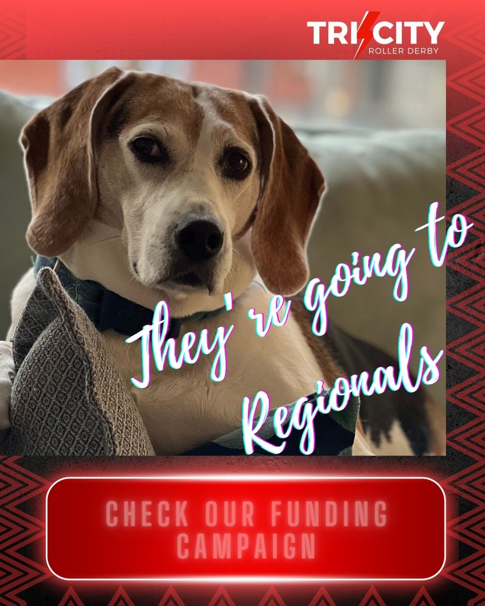 We're going to playoffs TODAY &amp; still raising $!
Meet: Parking Lot, a dual certified official who has been coaching since '17.  He is often found at a disc golf course getting a remarkable hole-in-8 at every basket 
Donate: gofund.me/d42de11c
Rewards: shorturl.at/xyBV4