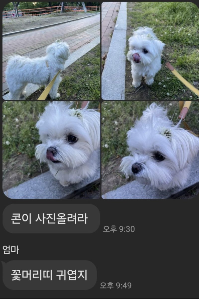 어머니 감사합니다... 
오늘도 살아갈 힘을 얻었습니다.....
김코니최고...입덕입덕.............