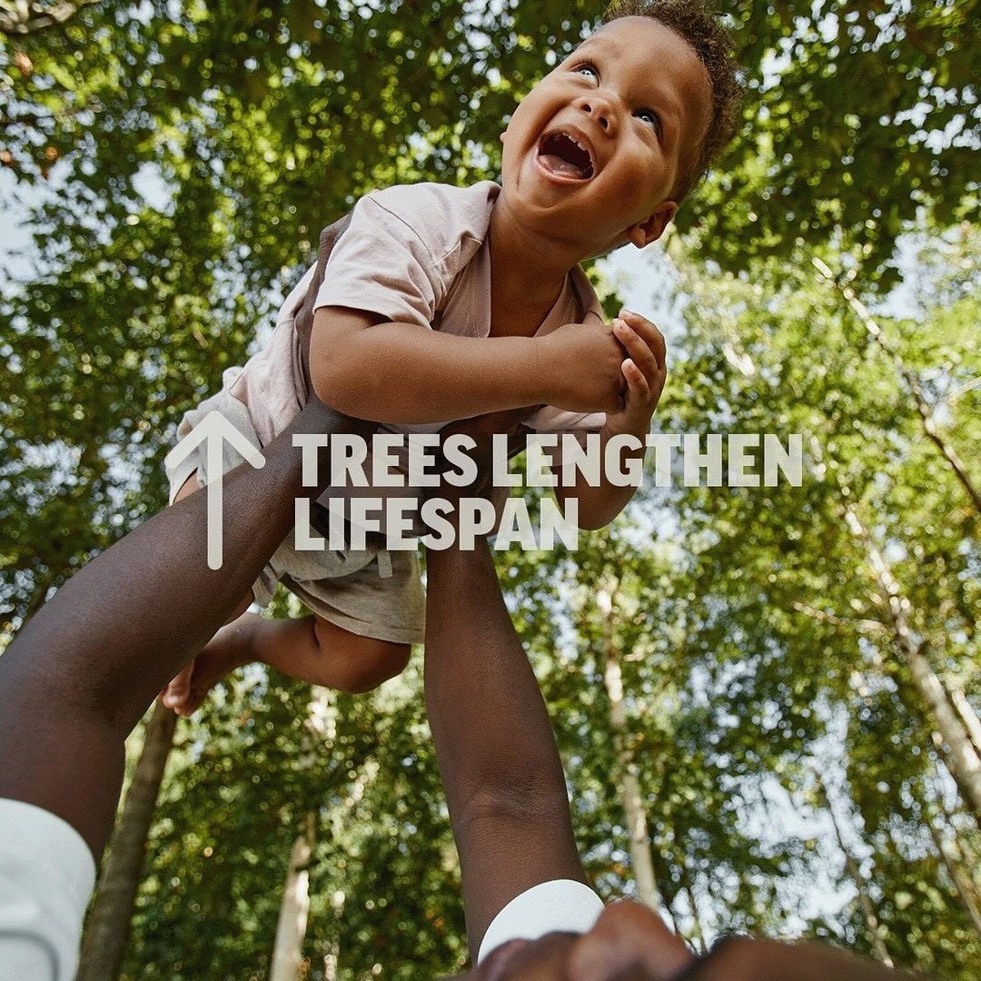 Let’s hear it for trees and their amazing healing abilities this #MentalHealthAwarenessMonth 💚