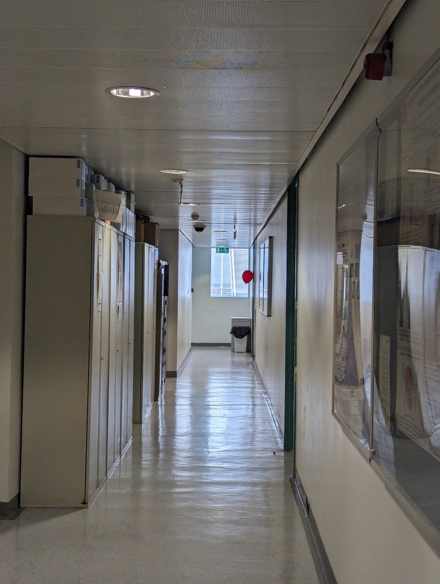 Neal Anthwal (@nanthwal) on Twitter photo Pennywise is visiting <a href="/CCRB27/">Centre for Craniofacial & Regenerative Biology</a> to wish <a href="/Wills_Barrell/">Wills Barrell</a> a happy birthday #theyallfloat Pennywise is visiting <a href="/CCRB27/">Centre for Craniofacial & Regenerative Biology</a> to wish <a href="/Wills_Barrell/">Wills Barrell</a> a happy birthday #theyallfloat