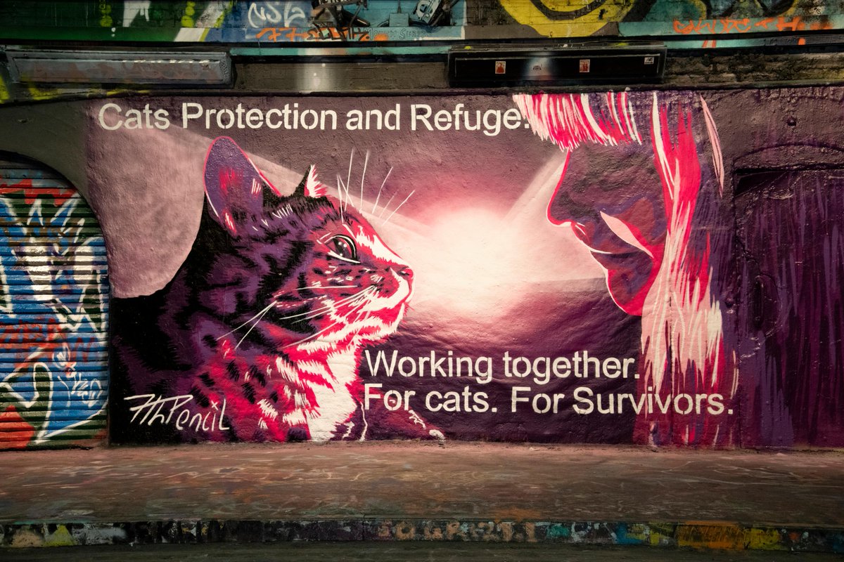 We’re working with @RefugeCharity to support cats and families to find safety after experiencing domestic abuse. 🎨: @7thpencil at @LeakeStArches