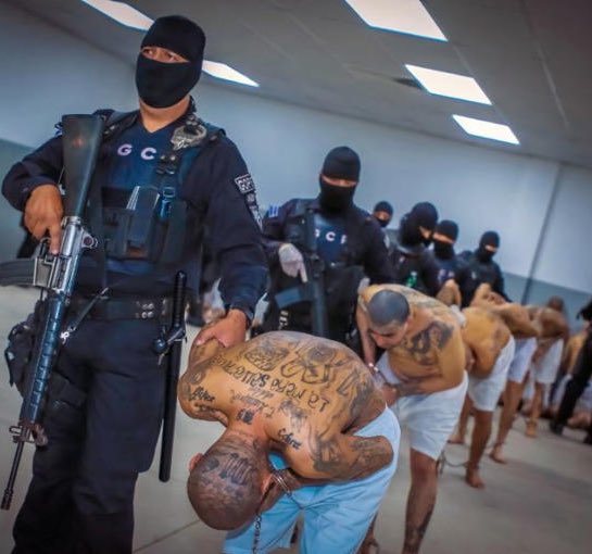 capTercio's tweet image. Homicidios en El Salvador con Bukele de presidente:
2019: 2398
2020: 1341
2021: 1140
2022: 496
2023: 146
2024: 2
¿Cómo lo ha hecho?
Fácil. Ha metido en la cárcel a los delincuentes.
Ahora intentáselo explicar a alguien de izquierdas...