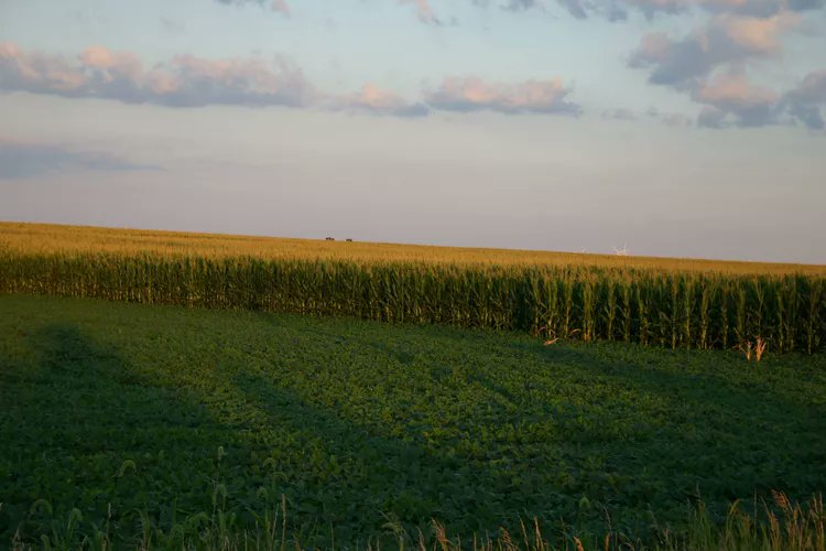 Crop subsidy costs could surge 56% under House farm bill, say analysts agriculture.com/crop-subsidy-c… via @SuccessfulFarm #NePork #NeAg #FarmBill