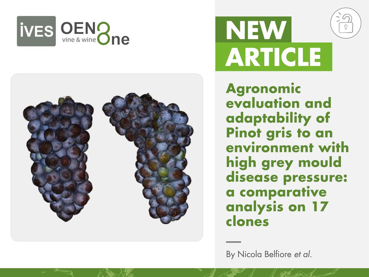 🛎 NEW research #article on #OENOOne! 
🍃 'Agronomic evaluation and adaptability of #Pinotgris to an environment with high grey mould #disease pressure: a comparative analysis on 17 #clones'

🔗 Full article: bit.ly/3ymTRYG

#grapevine #grape #climatechange #botrytis