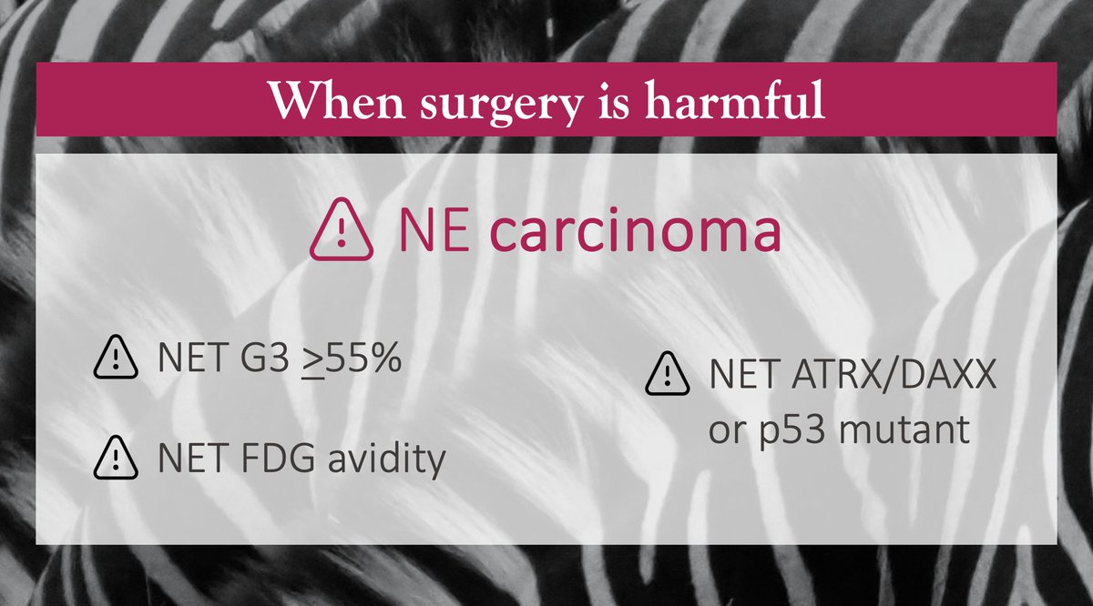 Metastatic NETs - for medical therapy?🦓 Though side to debate #IHPBA24😱🥊 Many benefits to surgery🔪in selected patients👉🏻QOL, symptom, therapy sparing WHEN to chose medical therapy💊👉🏻when surgery can harm (primum non nocere), in aggressive NENs