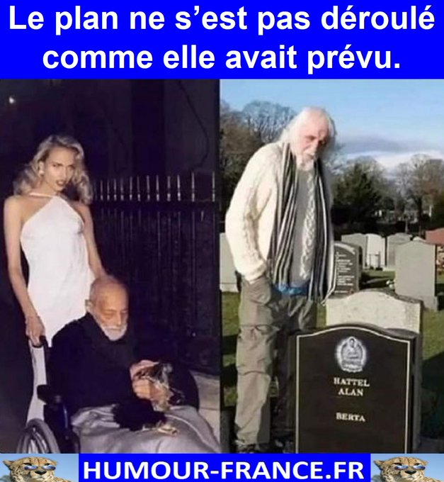 text alternatif