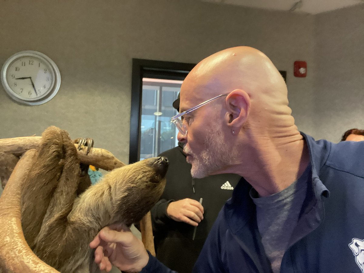 She’s a flirty girl . Thanks to Cool Zoo from Chesapeake Jubilee for stopping by today! #2ToedSloth