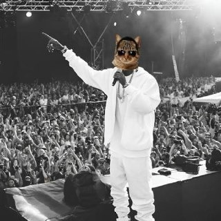 loonamewn's tweet photo. $pkiddy going up in the sky soon... the conviction of this team says a lot https://t.co/2Yh2S55cHg