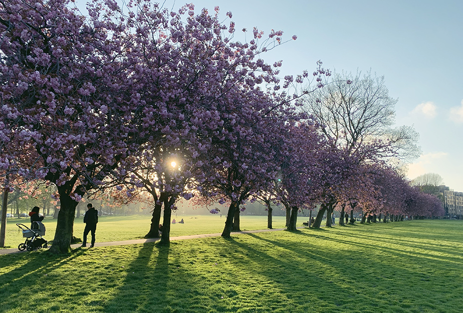 In this article, we explore how architecture and design can make a positive impact on mental health, particularly around the theme of #MomentsForMovement in this year's #MentalHealthAwarenessWeek. Read blog 👉 ow.ly/JGGJ50RGKOi
