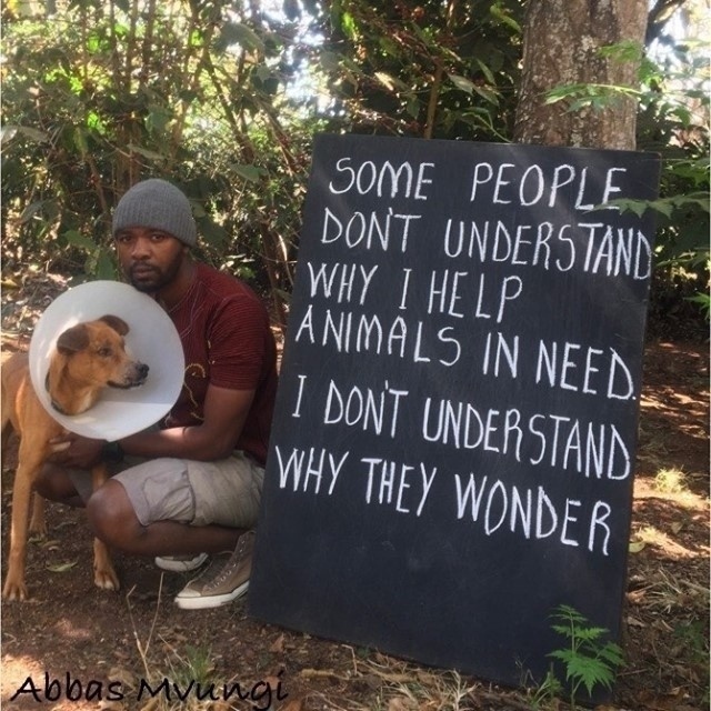 It costs nothing, to be kind. ❤️🌱⁠ 👉 Show your support for animals by signing our featured petitions of the month: veganfta.com/take-action ⁠ 📸: @abbas_mvungi ⁠ #compassionforall #quoteoftheday #animalrights #veganfortheanimals #govegan