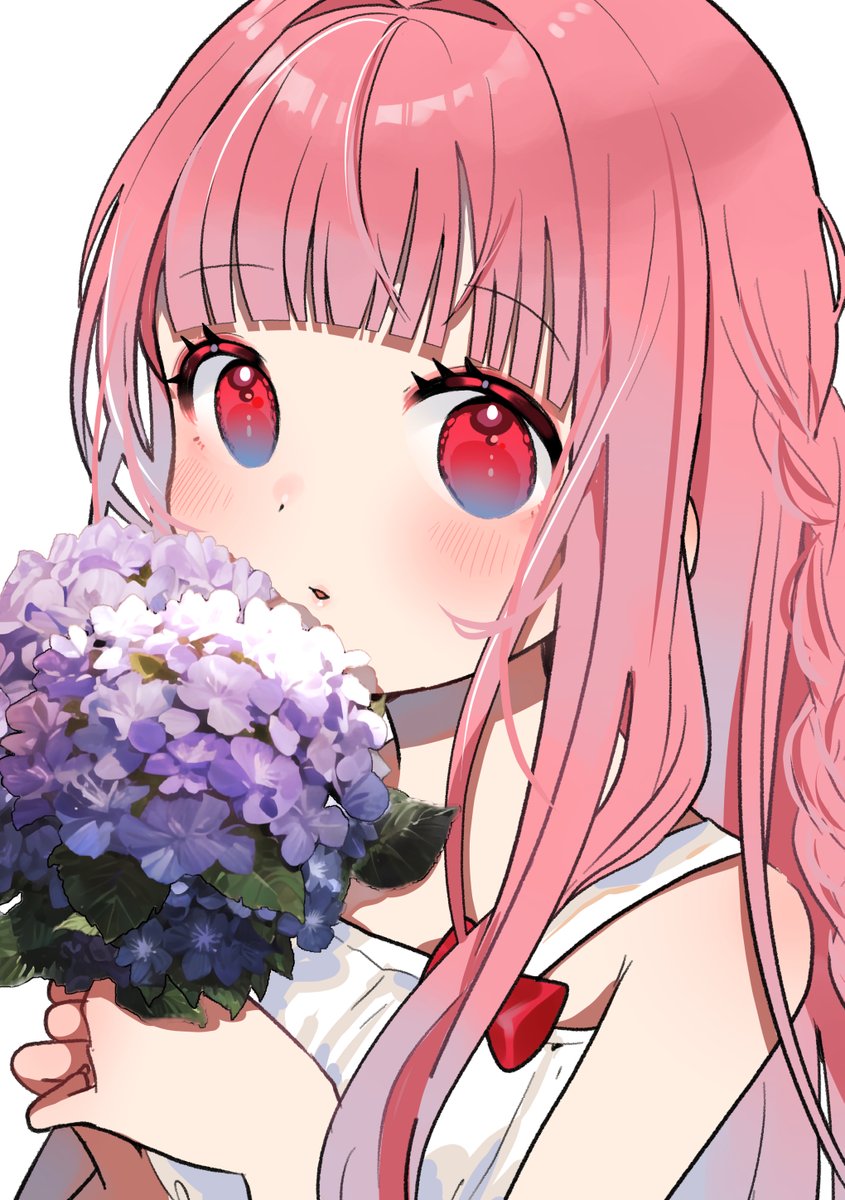 環いろは 「紫陽花の花言葉を知らない茜ちゃん 」|おやすみまくらのイラスト