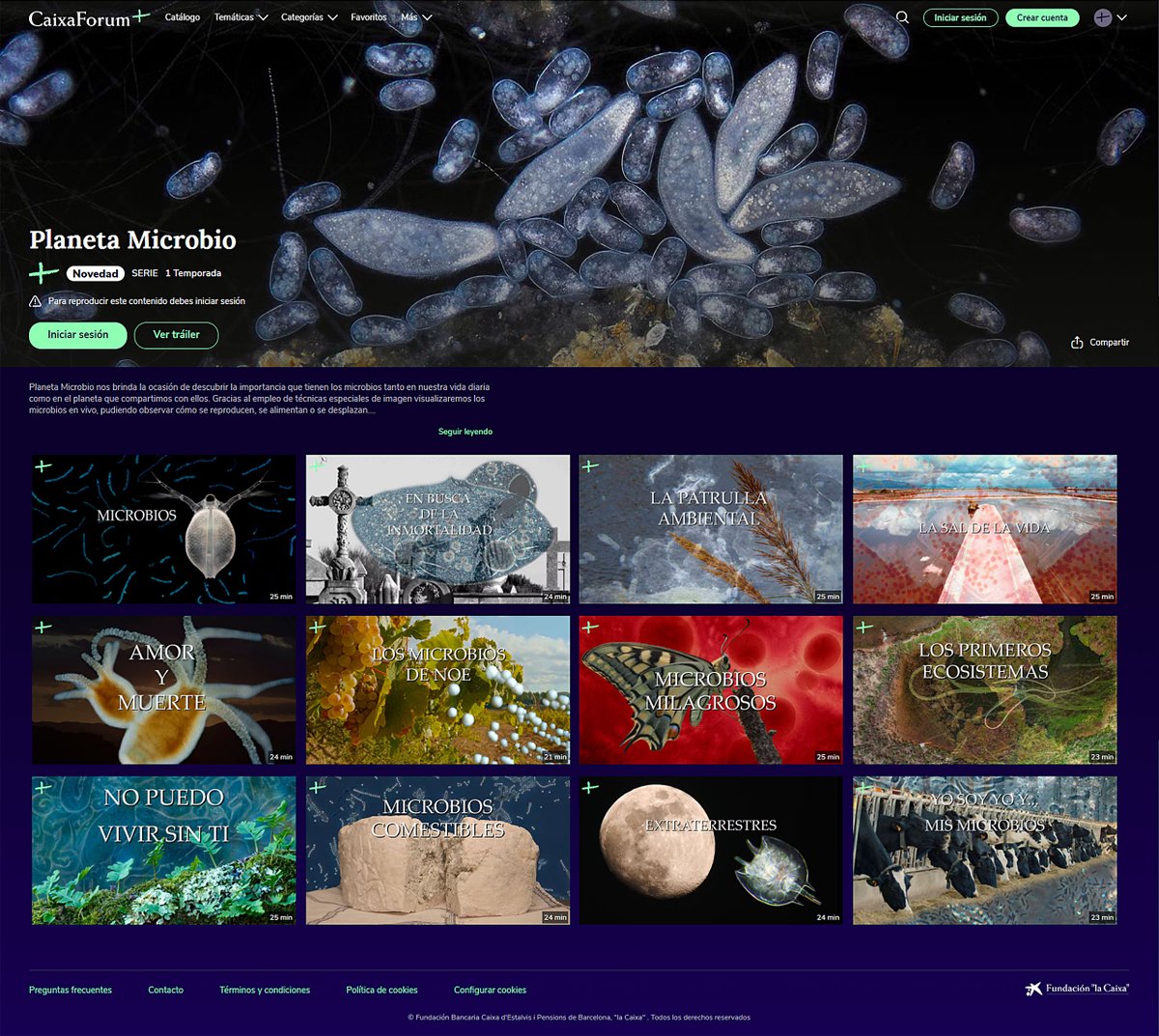 Science_Image's tweet image. caixaforumplus.org/c/planeta-micr…