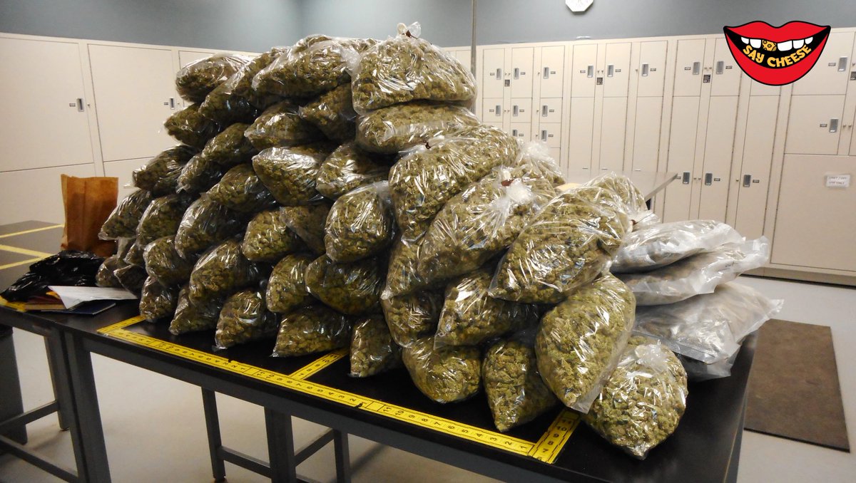 AGAIN? A 19-year-old woman from London who was found with 70 pounds of marijuana at an airport in Boston was arrested on trafficking charges. She was released on $1,500 bail. A pound in London go for around $5K each