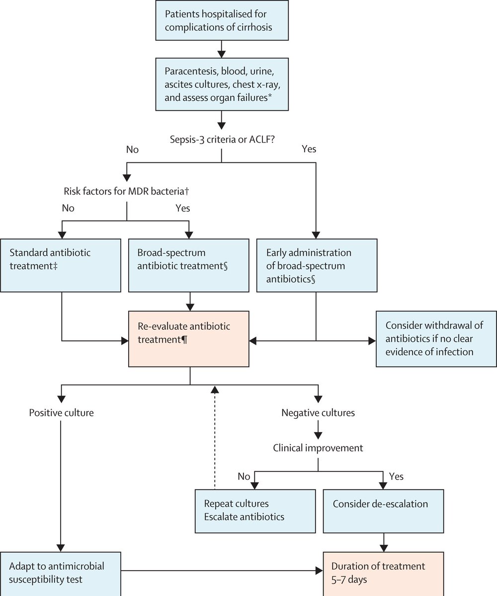 Infections in cirrhosis @LancetGastroHep ✨ Pathogenesis and potential treatment targets ✨ Consequences ✨ Initial approach ✨ Principles of antibiotic treatment doi.org/10.1016/S2468-…