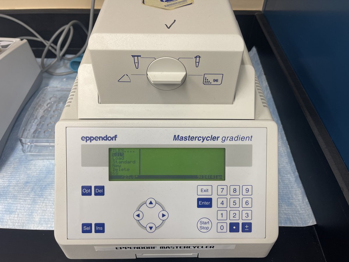 I am a hero today because I am the only one who knew how to program this. My younger colleagues whispered in terror that they didn’t want to use this machine.