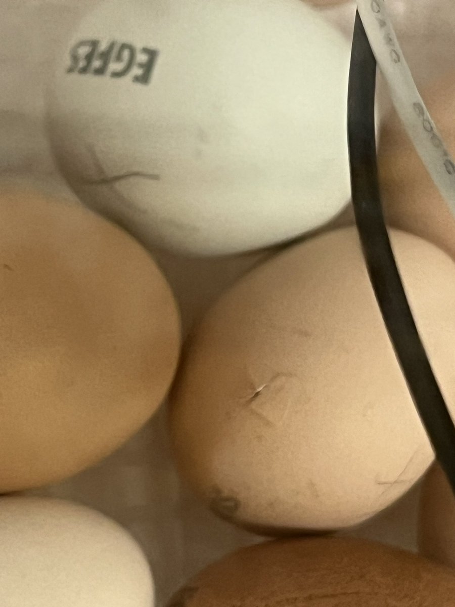 CassieSmolen tweet media