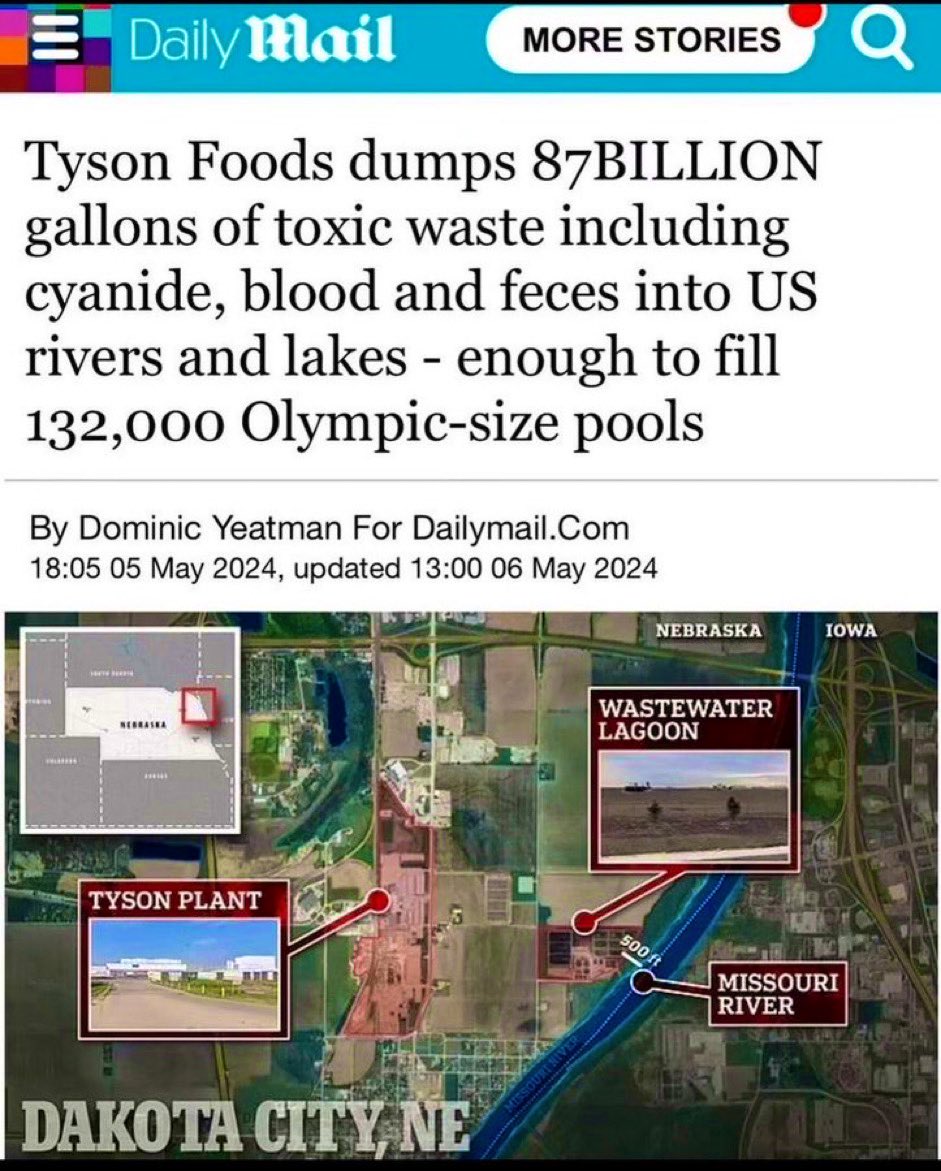 @CollinRugg 🚨WOW Tyson Foods dumps 87BILLION gallons of toxic waste including cyanide, blood and feces into US rivers and lakes - enough to fill 132,000 Olympic-size pools. 🤮 Say No to Tyson Chicken at McDs, Wendy’s, Popeyes and Taco Bell! Tyson fired all citizens at one plant and
