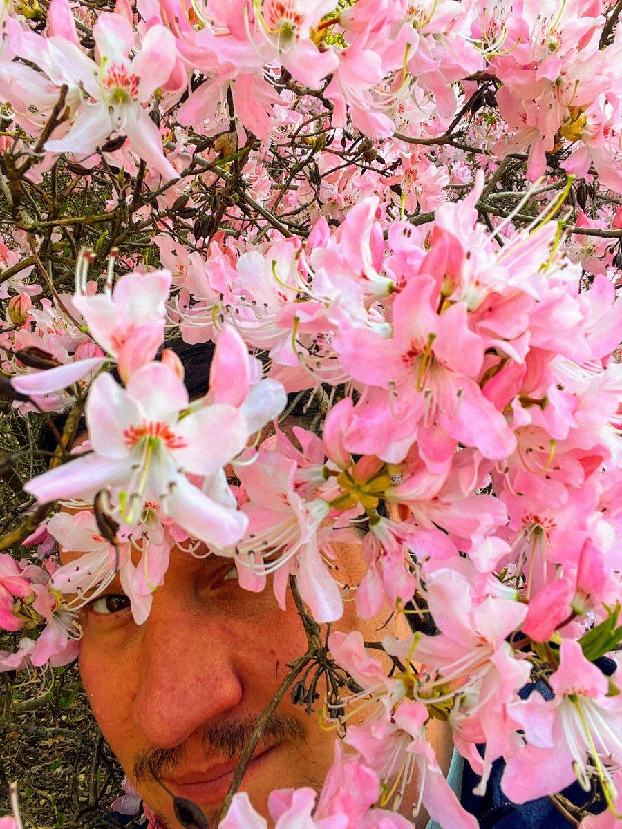 Springtime in Boston!  Do you see it