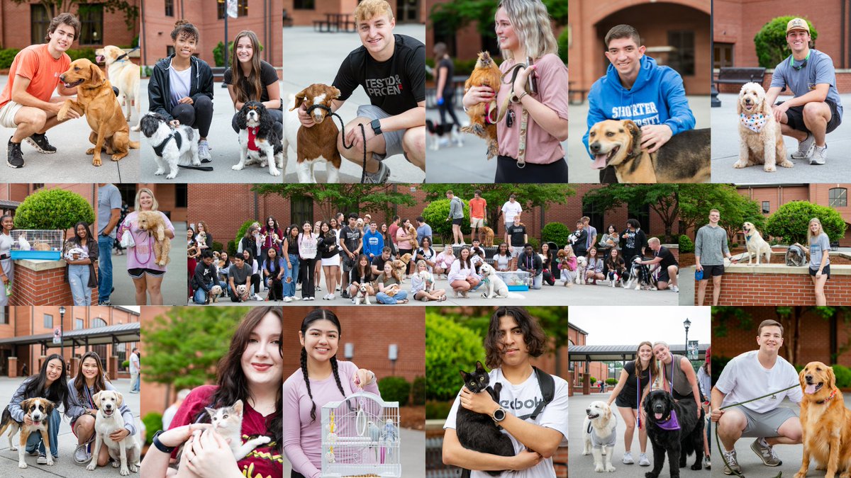 Our seniors had a 'fur-tastic' time yesterday, showing off their awesome pets for Senior Week! #PetDay #ClassOf2024