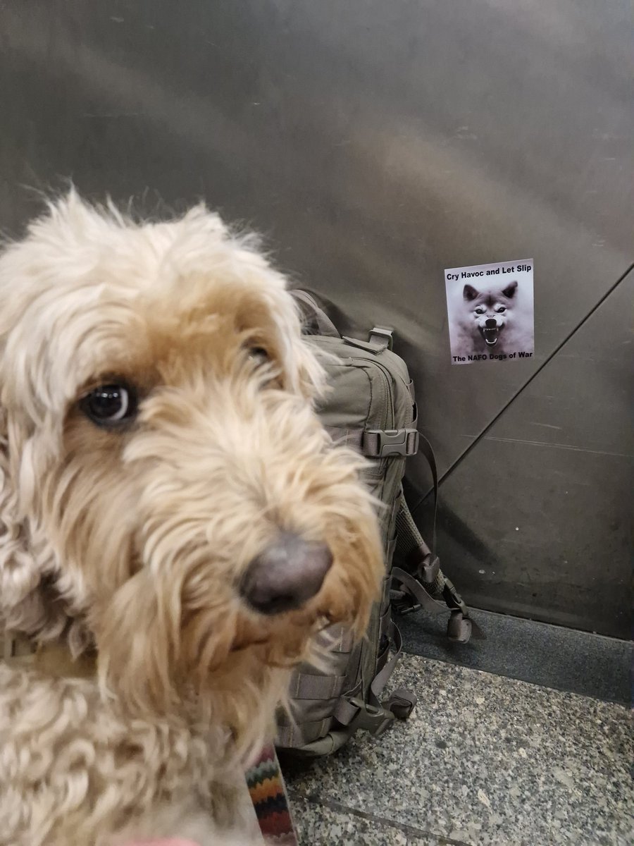 Swampy_EOD_Ukr's tweet image. What Nafo saying? Fellas be following Fellas tomorrow?

Please excuse the lack of posting. The Prevail team are busy prepping for the next round of training and operations in Kharkiv. However,  the evolving situation will dictate how these go. 

Looking forward to getting back…