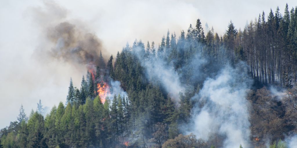 Massive #wildfires are already forcing people from their homes across Canada. Listen to #Laurier forest fire researcher Jennifer Baltzer on The Current with Matt Galloway discussing what lies ahead for an anticipated 'hot, dry summer.' cbc.ca/listen/live-ra…