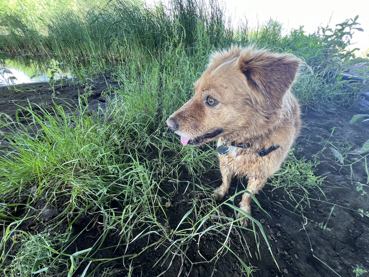 See the mud.. now, be one with the mud. -Luna Rose