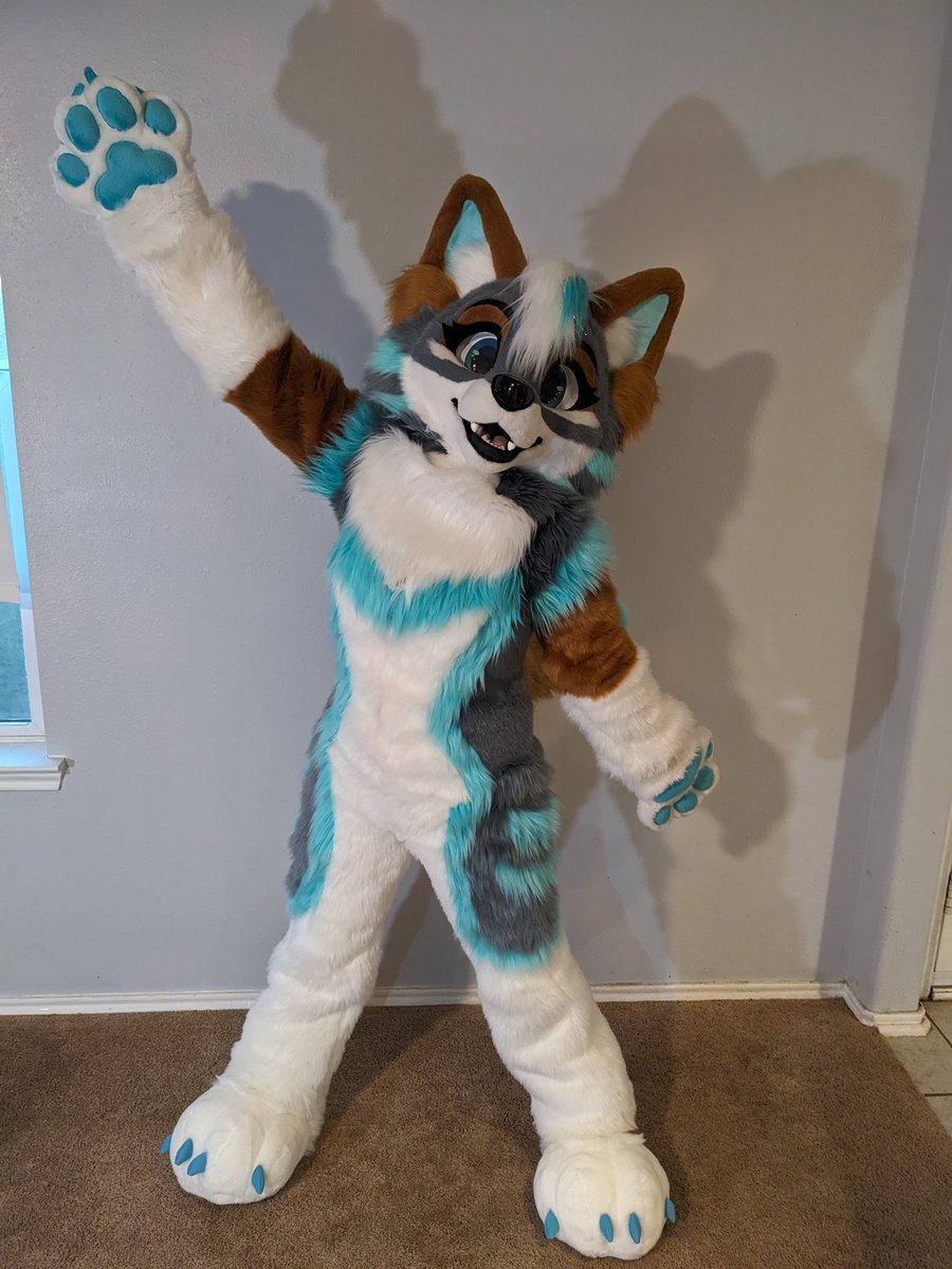 ZephyriWolf tweet picture