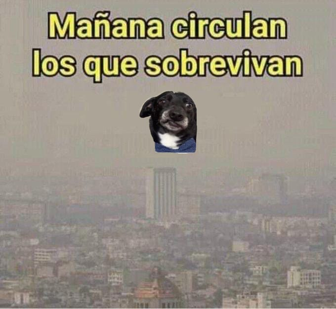 Contingencia Ambiental 😬

#Hoynocircula #DoblenoCircula #ContingenciaAmbiental